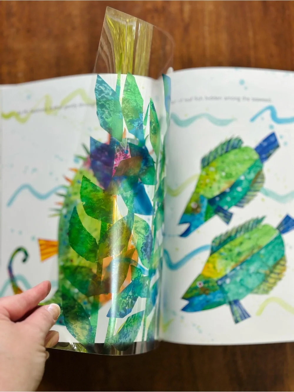 Two children’s hardcover books